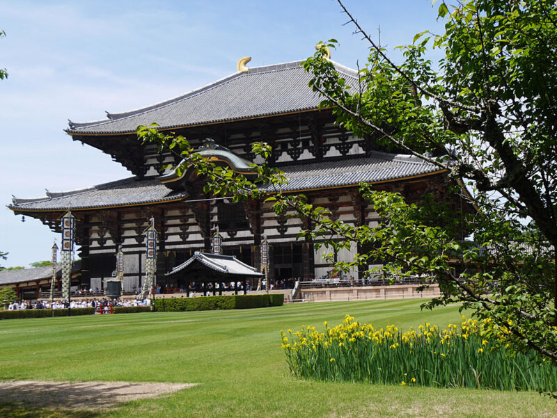 黄菖蒲と大仏殿