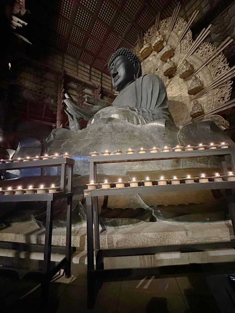 須弥壇上からの大仏様