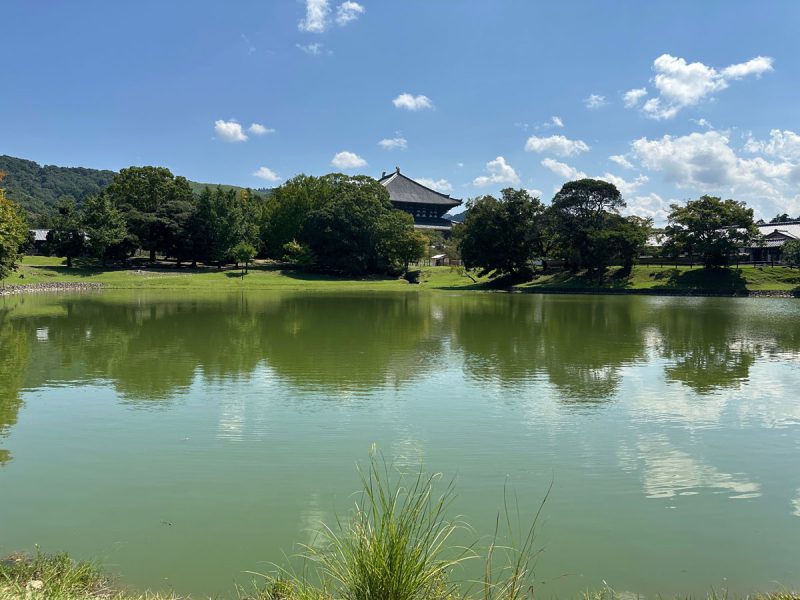 大仏池から大仏殿を望む