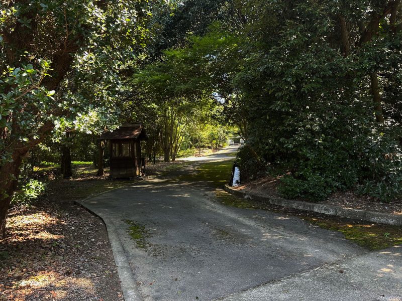 正倉院の敷地の様子