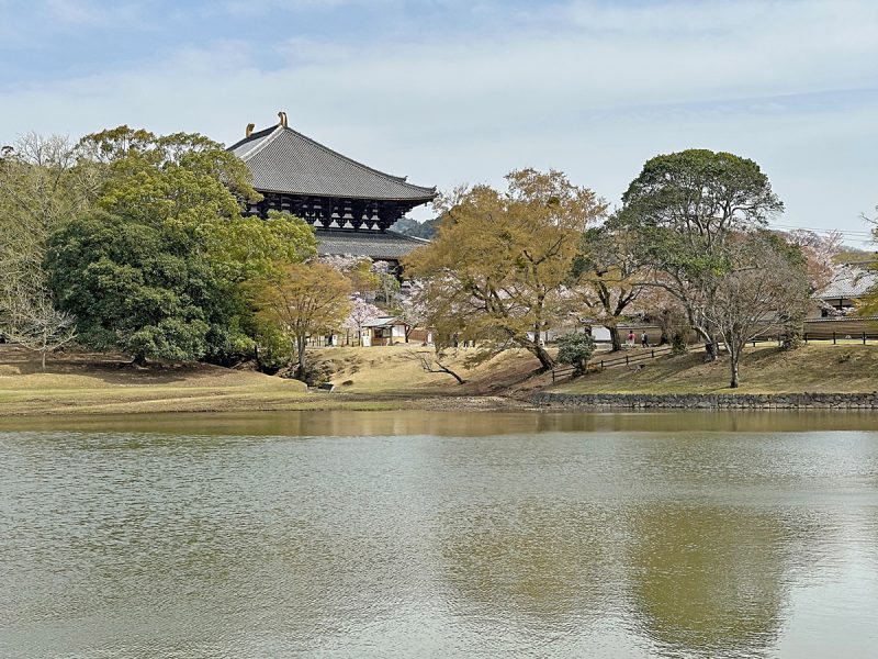 大仏池を挟んで大仏殿