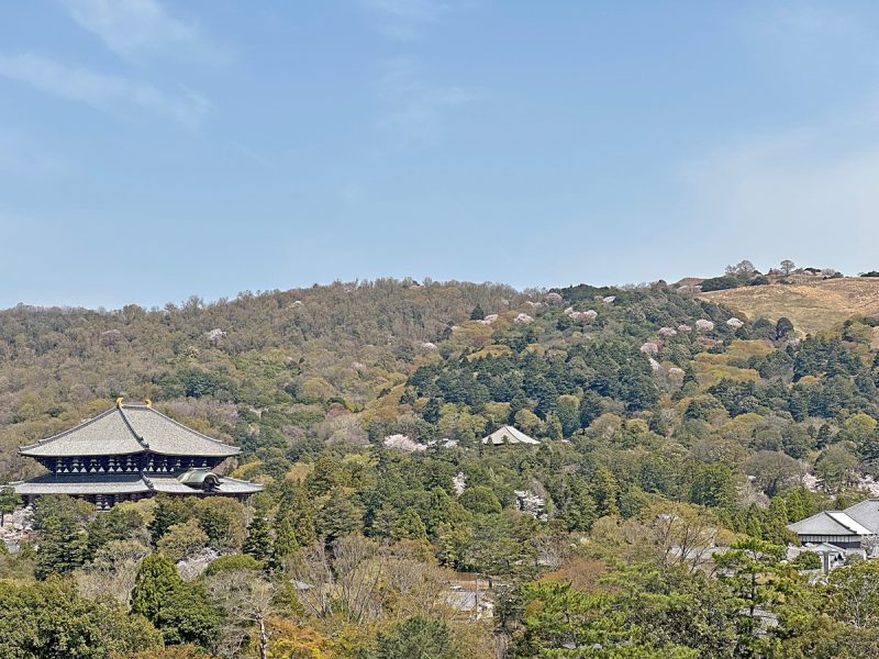 東大寺、春日山遠望