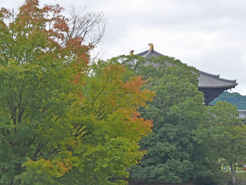 大仏池ほとりの紅葉