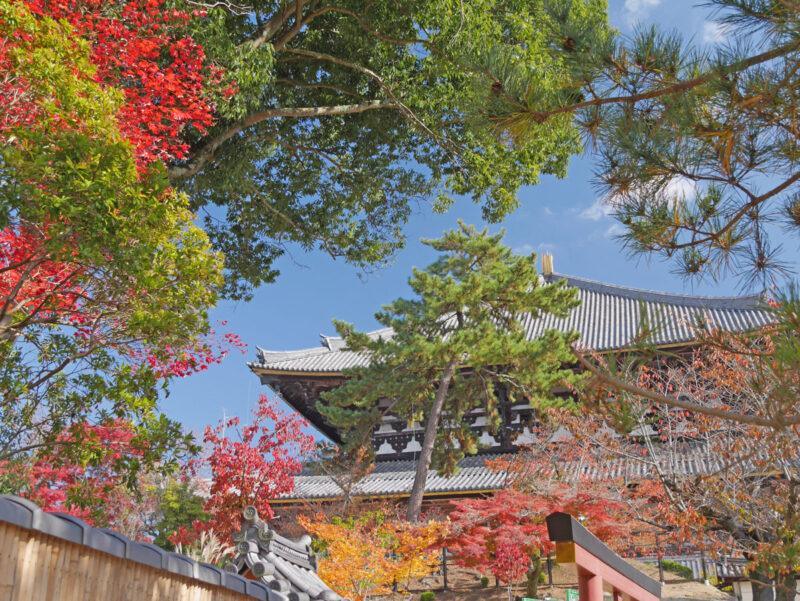 大仏殿西側から