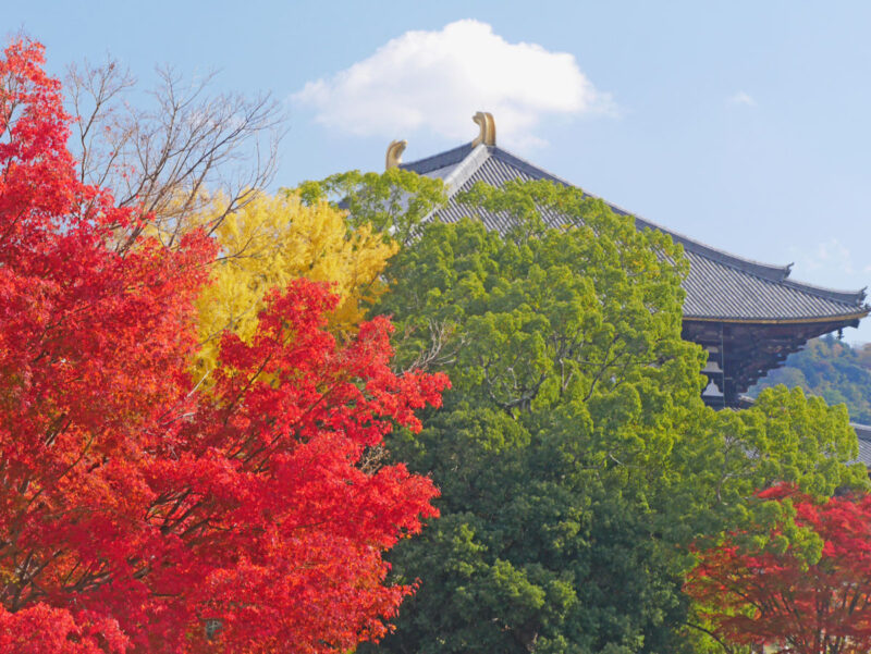 大仏池北西より