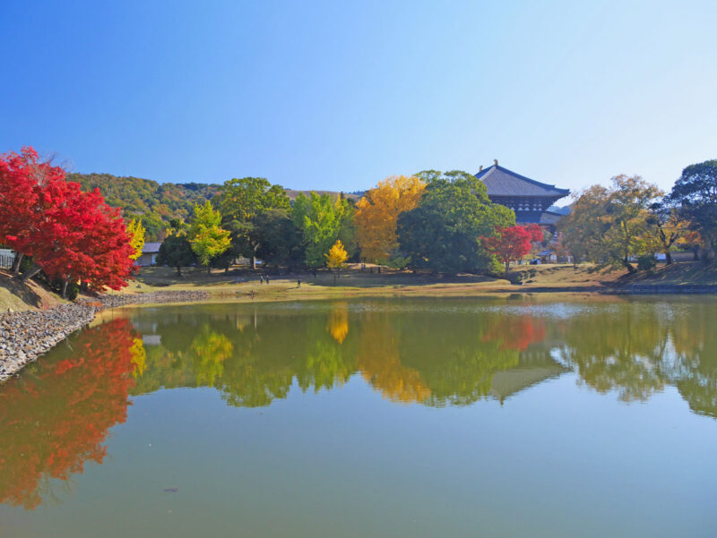 大仏池北西角より