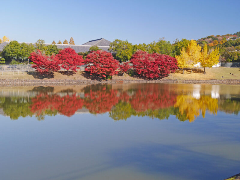 大仏池南より正倉院方向