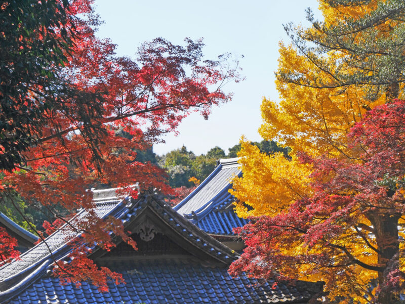 手向山八幡宮東北より