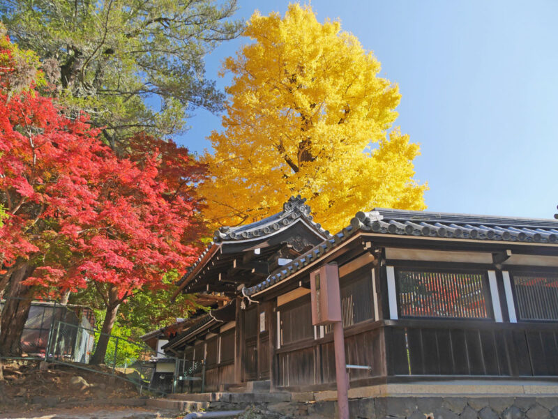 手向山八幡宮北側